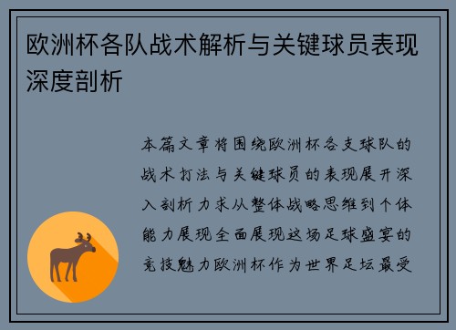 欧洲杯各队战术解析与关键球员表现深度剖析